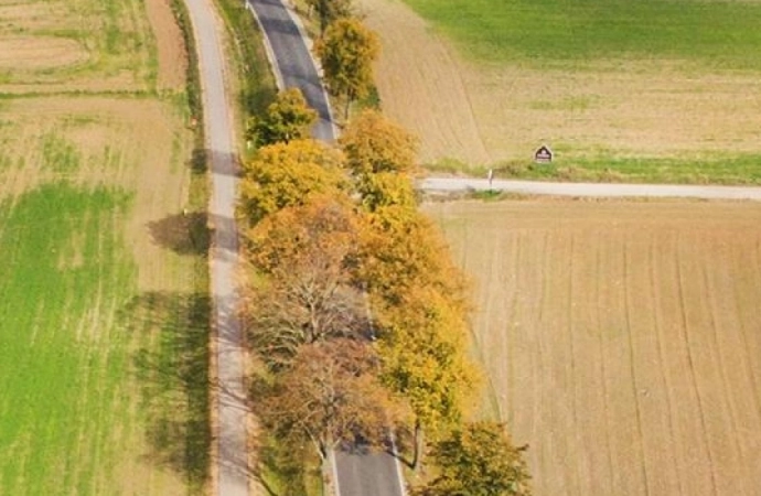 Szlak Green Velo szuka Miejsc Przyjaznych Rowerzystom